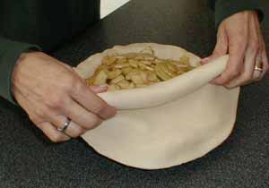 PIE CRUST COVER
